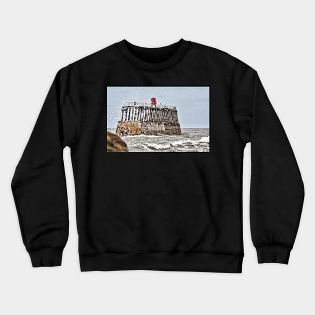 Whitby Crewneck Sweatshirt by jasminewang